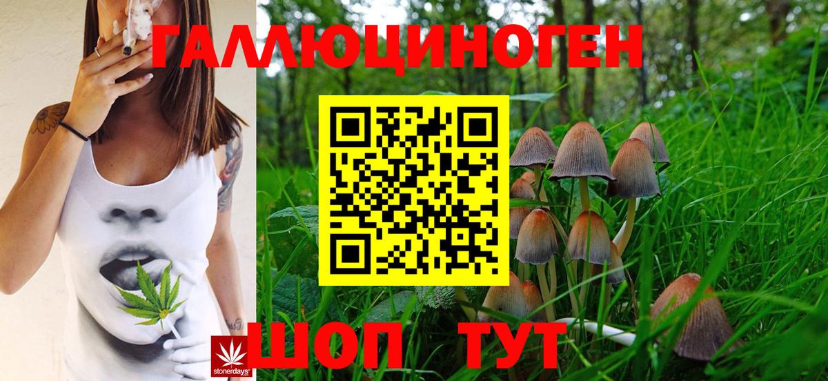 Псилоцибиновые грибы Psilocybine cubensis  Галлюциногенные грибы Psilocybe  Надым  Вход с VPN 