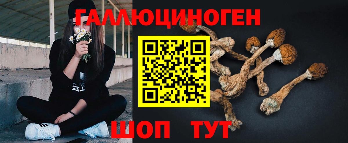 Галлюциногенные грибы мицелий Надым
